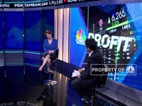 Tiket Mahal, Wisatawan Domestik Anjlok