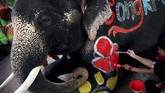 Pawang gajah (mahout) menggambari badan gajah dengan hiasan berbentuk hati dan bunga sebelum tampil dalam Festival Songkran di Ayutthaya, Thailand, Kamis (11/4). (REUTERS/Soe Zeya Tun)