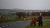 Sampai saat ini warga Inggris masih terbelah antara pendukung dan penentang Brexit. Ian Clift adalah salah satu yang menolak Brexit. (REUTERS/Clodagh Kilcoyne)