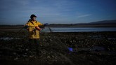 Seorang nelayan perempuan Inggris, Margaret Owen (66) tetap yakin negaranya akan bertahan walau hengkang dari Uni Eropa. (REUTERS/Clodagh Kilcoyne)