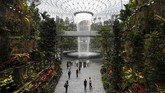 Air terjun setinggi 40 meter, Rain Vortex, yang merupakan air terjun di dalam ruangan tertinggi di dunia dalam Bandara Jewel Changi. (REUTERS/Feline Lim)