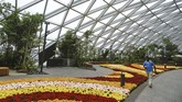 Dirancang oleh Moshe Safdie, bandara seluas 130 meter persegi ini tak hanya mewah namun juga dirancang serba teduh. (REUTERS/Feline Lim)