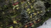 Area hijau di Bandara Jewel Changi. Dinamakan jewel-atau dalam bahasa Indonesia berarti permata, area baru ini memang dibangun menyerupai permata yang diwujudkan dengan dinding serba kaca. (REUTERS/Feline Lim)