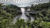 Lima tahun sejak mengumumkan rencana perluasan area, tahun ini pengelola Bandara Internasional Changi di Singapura mengumumkan bahwa Bandara Jewel Changi sebagai area komersil siap beroperasi pada pertengahan tahun ini. (Roslan RAHMAN / AFP)