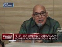 Serius! Jika RED II Berlaku, RI akan Seret Eropa ke WTO