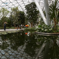 Bandara Changi Tembus 1 Juta Penumpang Sejak Diserang Covid