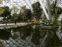 Bandara Changi Tembus 1 Juta Penumpang Sejak Diserang Covid