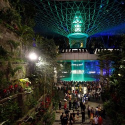 Intip Air Terjun Indoor Tertinggi Dunia di Bandara Changi