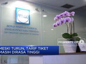 Apindo: Harga Tiket Pesawat Sudah Turun Hingga 20%