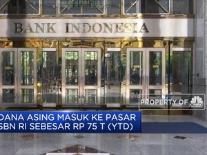 Jelang Pemilu, Dana Asing Banjiri Indonesia