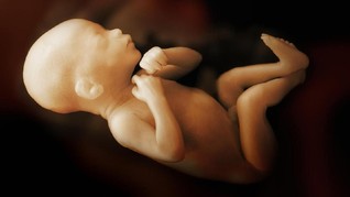 Korea Selatan Legalkan Aborsi Setelah 66 Tahun Larangan