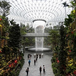 Pengumuman! Bandara Changi Singapura Bakal Bebas Paspor