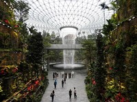 Pengumuman! Bandara Changi Singapura Bakal Bebas Paspor
