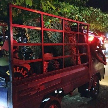 Pasca-Gempa, Sulawesi Tengah Kini Kembali Kondusif