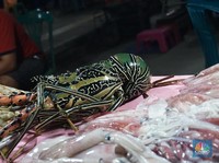 Miris, RI Negara Kaya Tapi Malah Impor Ikan, Udang-Sayuran!