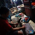 KKP Jaga Populasi Cumi, Ini Strateginya