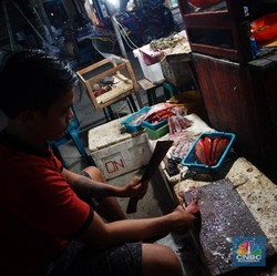 KKP Jaga Populasi Cumi, Ini Strateginya