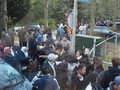 WNI di Belanda Antre Nyoblos 3 Jam di Suhu 5 Derajat Celcius