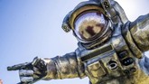 Yang menarik pada tahun ini, ikon Coachella berupa astronot non-gender kembali muncul. Kali ini, Poetic Kinetics menyebut astronot ini bernama Overview Effect yang merupakan 'teman' dari 'Escape Velocity' alias 'astronot' asli Coachella. (Amy Harris/Invision/AP)