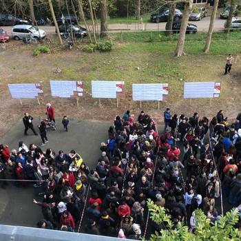 Ribuan WNI Serbu TPS Demi Nyoblos Pilpres 2019 di Belanda
