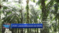 Ri, Malaysia, & Kolombia Protes Diskriminasi Sawit oleh Eropa