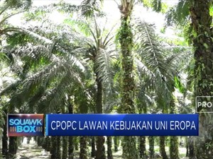 Ri, Malaysia, & Kolombia Protes Diskriminasi Sawit oleh Eropa