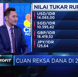 Inflow Asing Diprediksi Masih akan Terbatas