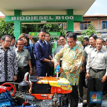 Uji Coba di 50 Traktor & Mobil, Begini Wujud Biodiesel B100