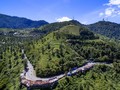 Rekomendasi Hotel untuk 'Staycation' Usai Pemilu
