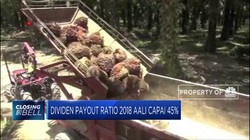 AALI Bagikan Dividen 2018 Rp 648 Miliar