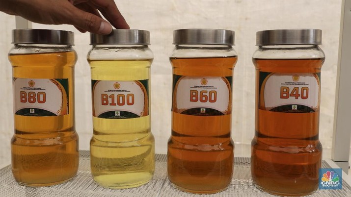 Program B50 yang direncanakan pemerintah jika diterapkan akan memberikan sejumlah manfaat
