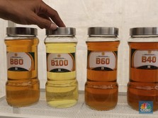 Ini Komentar Pengusaha Soal Rencana B50 di 2020
