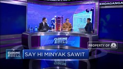 Jelang Penerapan B100, Kapasitas Sawit Harus Ditingkatkan
