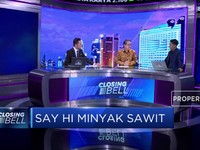 Jelang Penerapan B100, Kapasitas Sawit Harus Ditingkatkan