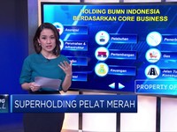 Begini Kekuatan Superholding Perusahaan Pelat Merah