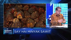 Cadangan Sawit Nasional Dipastikan Cukup Hingga B30