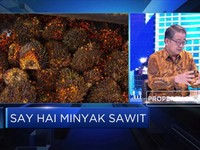 Cadangan Sawit Nasional Dipastikan Cukup Hingga B30