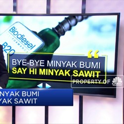 Bye-Bye Minyak Bumi, Say Hi Minyak Sawit