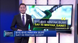 Bye-Bye Minyak Bumi, Say Hi Minyak Sawit