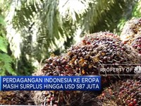 Diskriminasi Sawit, Ekspor CPO ke Eropa Terpuruk