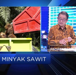 Pajak Karbon Solusi Mahalnya Biaya Implementasi Biodiesel?