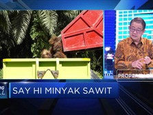 Pajak Karbon Solusi Mahalnya Biaya Implementasi Biodiesel?