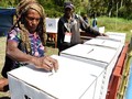 KPU Serahkan Masalah Pemilu di Papua ke Komisioner Daerah
