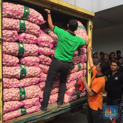Impor Bawang Putih Nyaris 100%, Bagaimana Produksi RI?