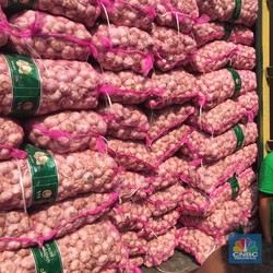 Ombudsman Bongkar Borok Penerbitan Rekomendasi Izin Impor Bawang Putih