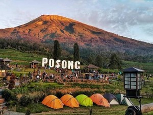 Ada Panen Raya, Akses Mobil ke Wisata Posong Temanggung Ditutup 2 Bulan
