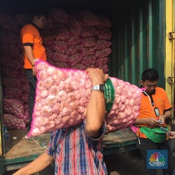 8 Perusahaan Dapat Izin Impor Bawang Putih China 115.765 Ton