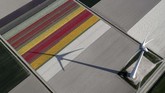 Pemerintah Belanda memasang tanda peringatan di setiap kebun Bunga Tulip, juga dengan bahasa Inggris dan China, agar pengunjung tidak menginjak dan memetik bunga saat berkunjung. (REUTERS/Yves Herman)