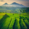 Sssttt... Ternyata ada Kampung 'Thanos' di Jawa Barat Lho