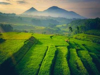 Sssttt... Ternyata ada Kampung 'Thanos' di Jawa Barat Lho
